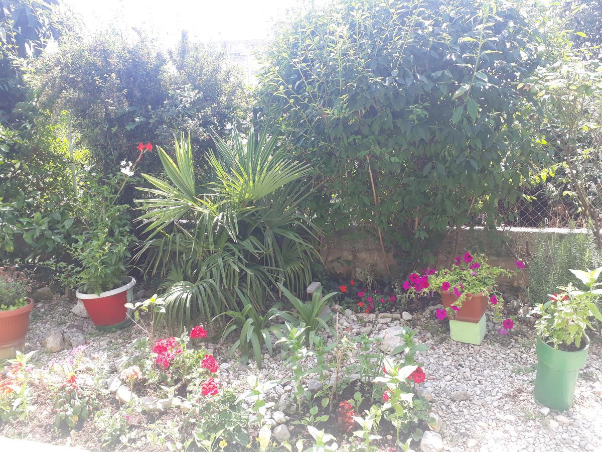 Green Hostel Zadar Exterior foto